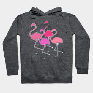 Can't Stop Flamingos-a-Go-Go Hoodie